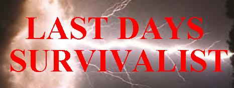 Last Days Survivalist - Index 2 - Archive