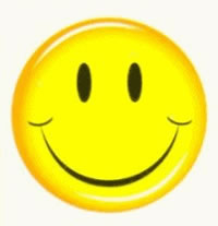 This Is Not A Bedbug